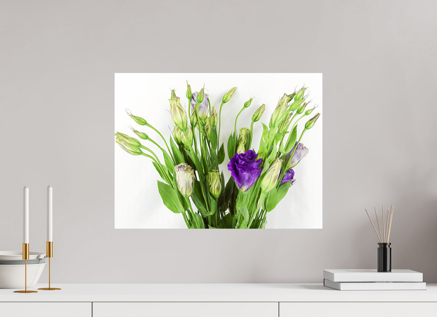 Purple Beauties (White Background)