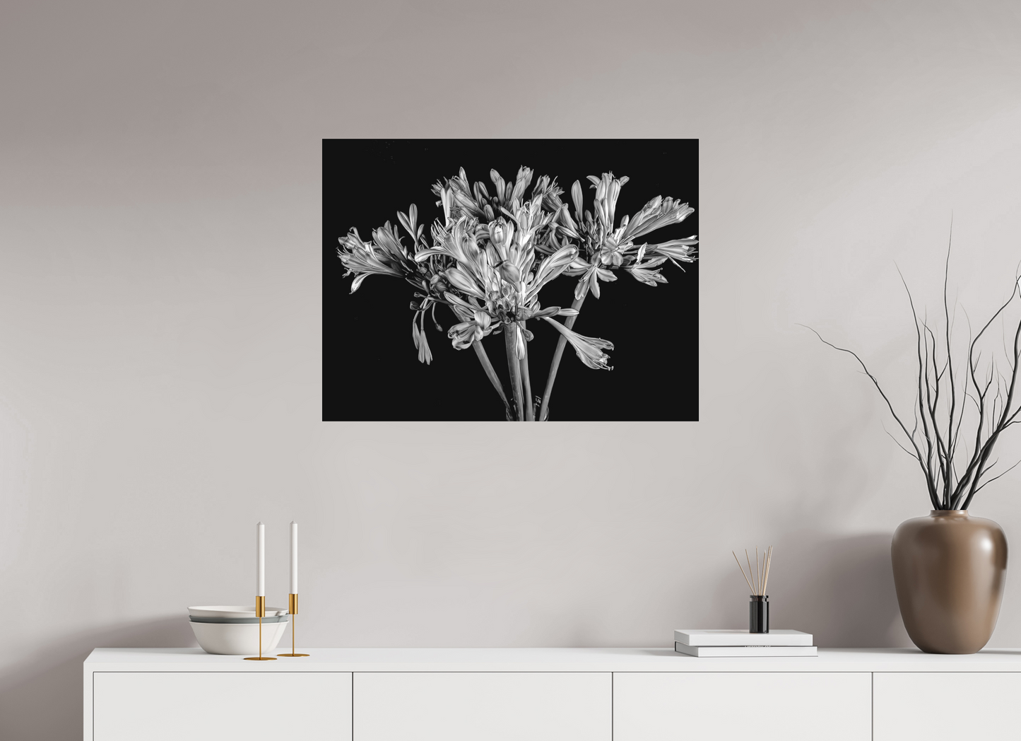 Agapanthus in Black and White