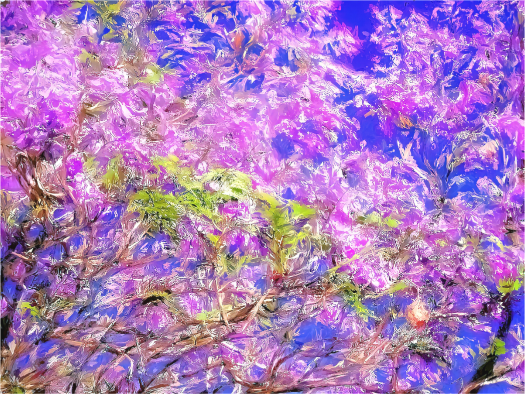 Panoramic Jacaranda Sky