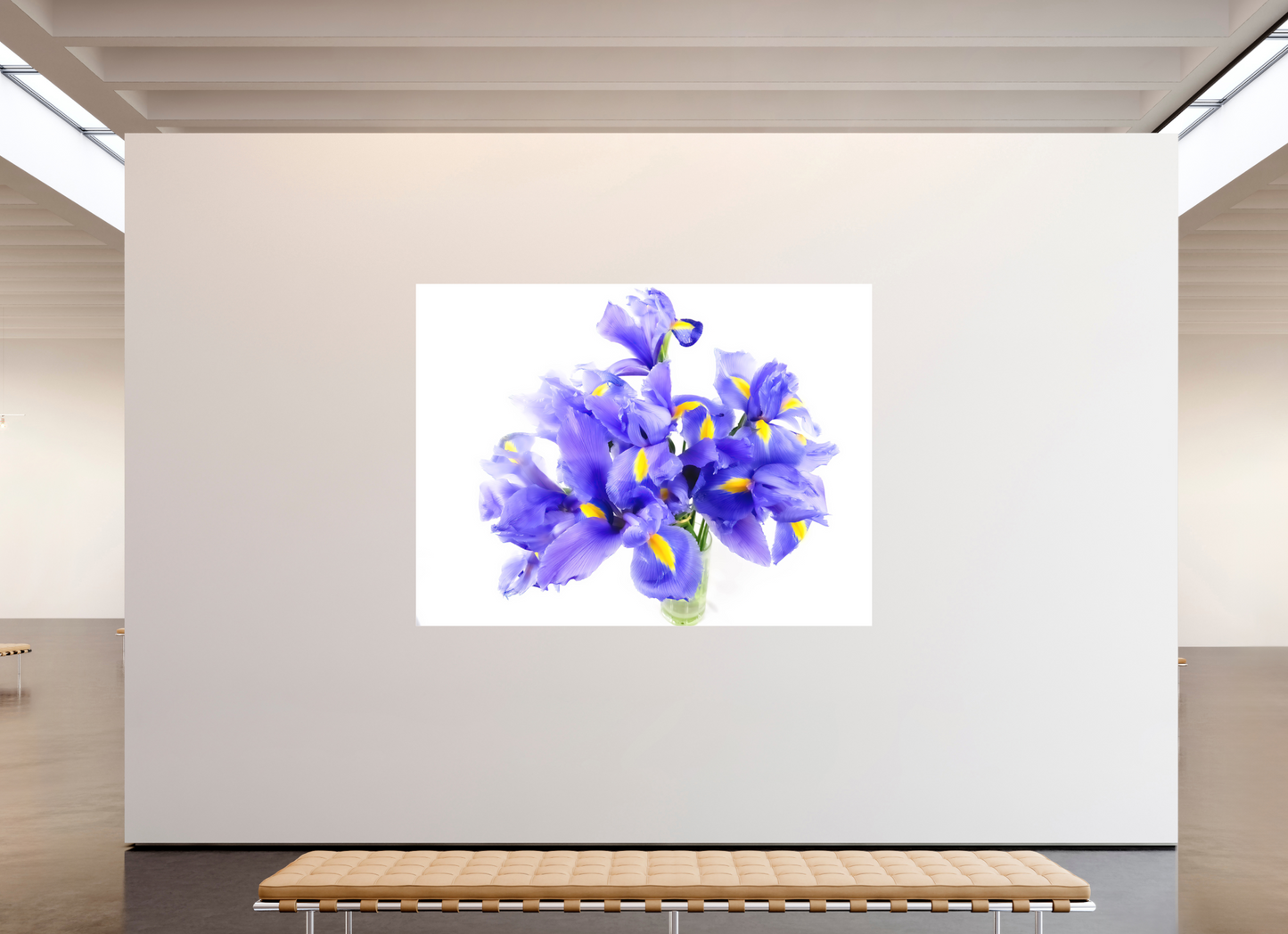 Iris Beauty
