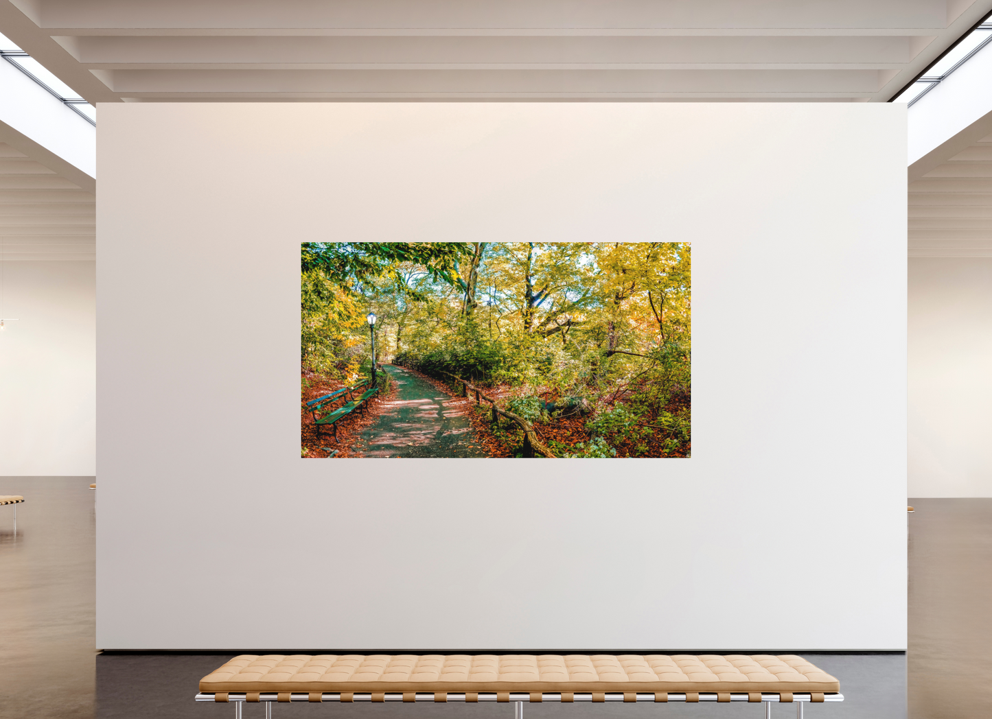 Panoramic Lover's Lane