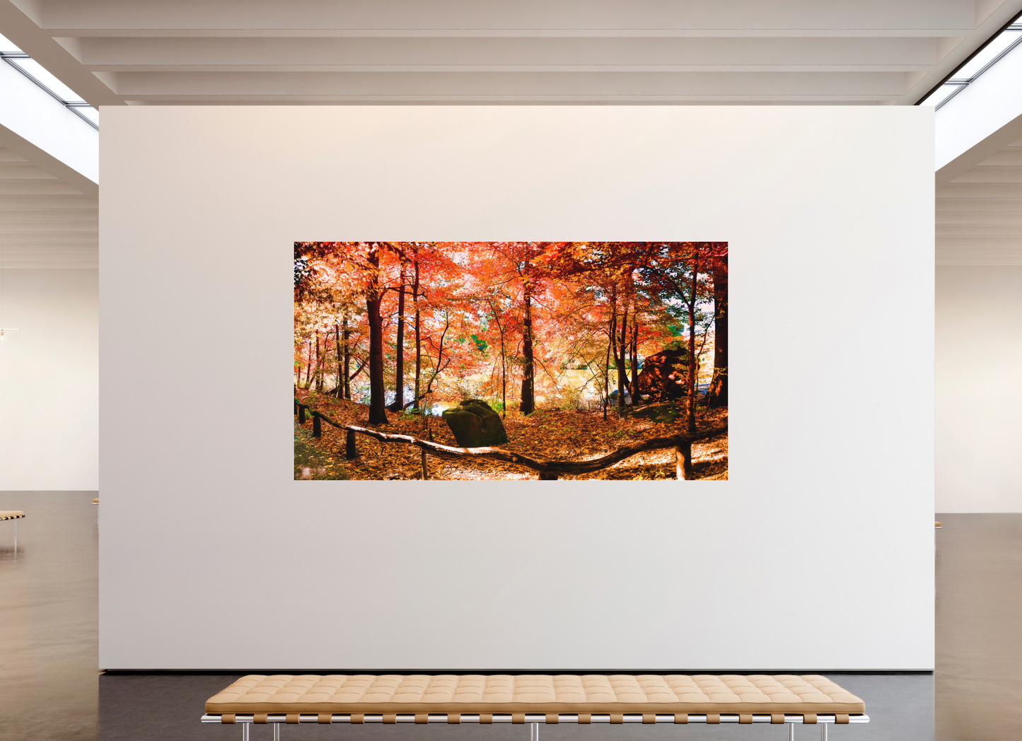Panoramic Autumn Colors