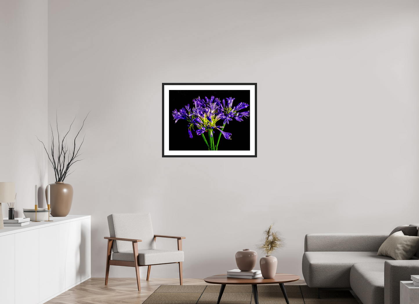 Agapanthus