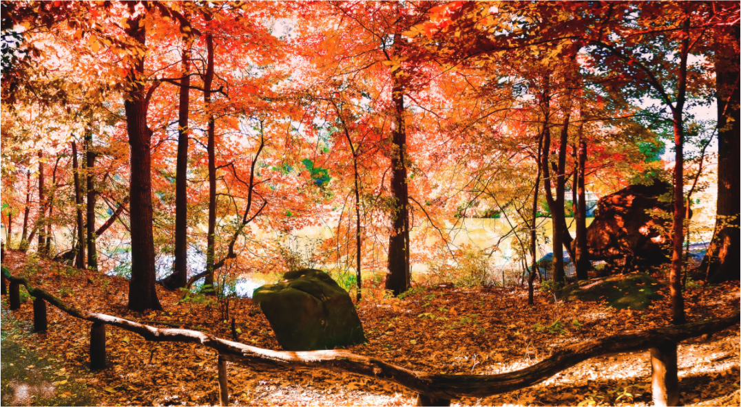Panoramic Autumn Colors