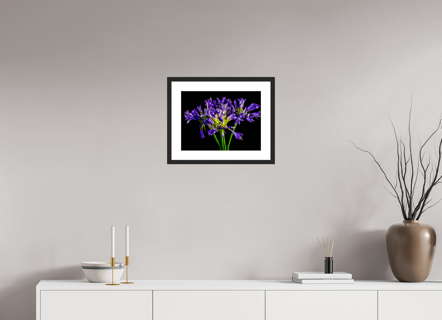 Agapanthus