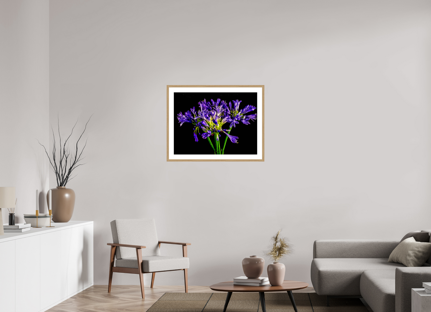 Agapanthus