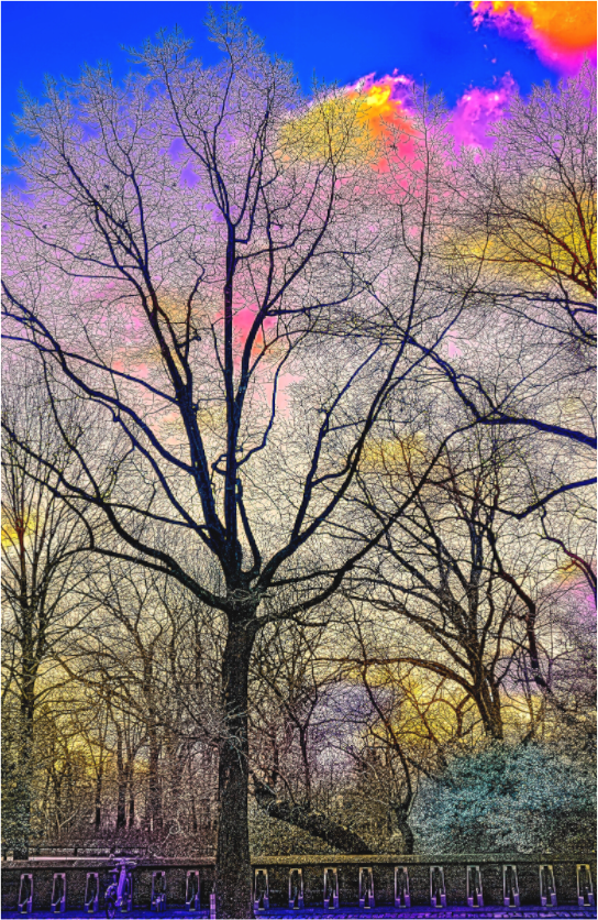 Panoramic First Light