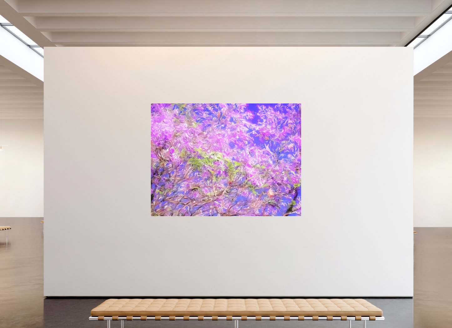 Jacaranda Sky