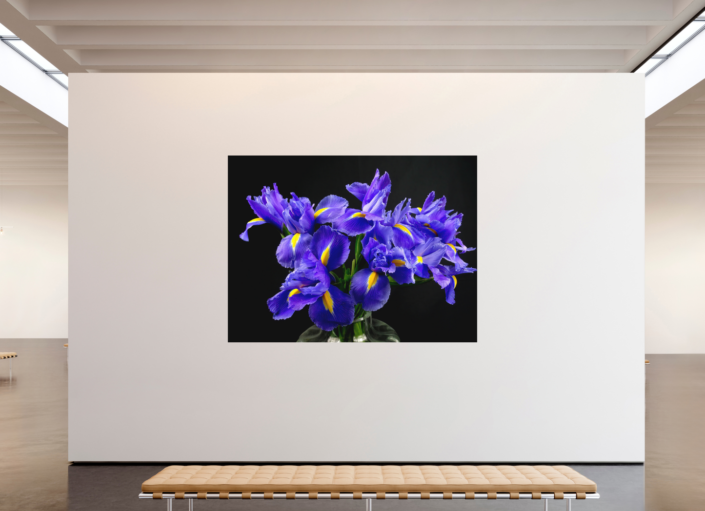 Iris in Love