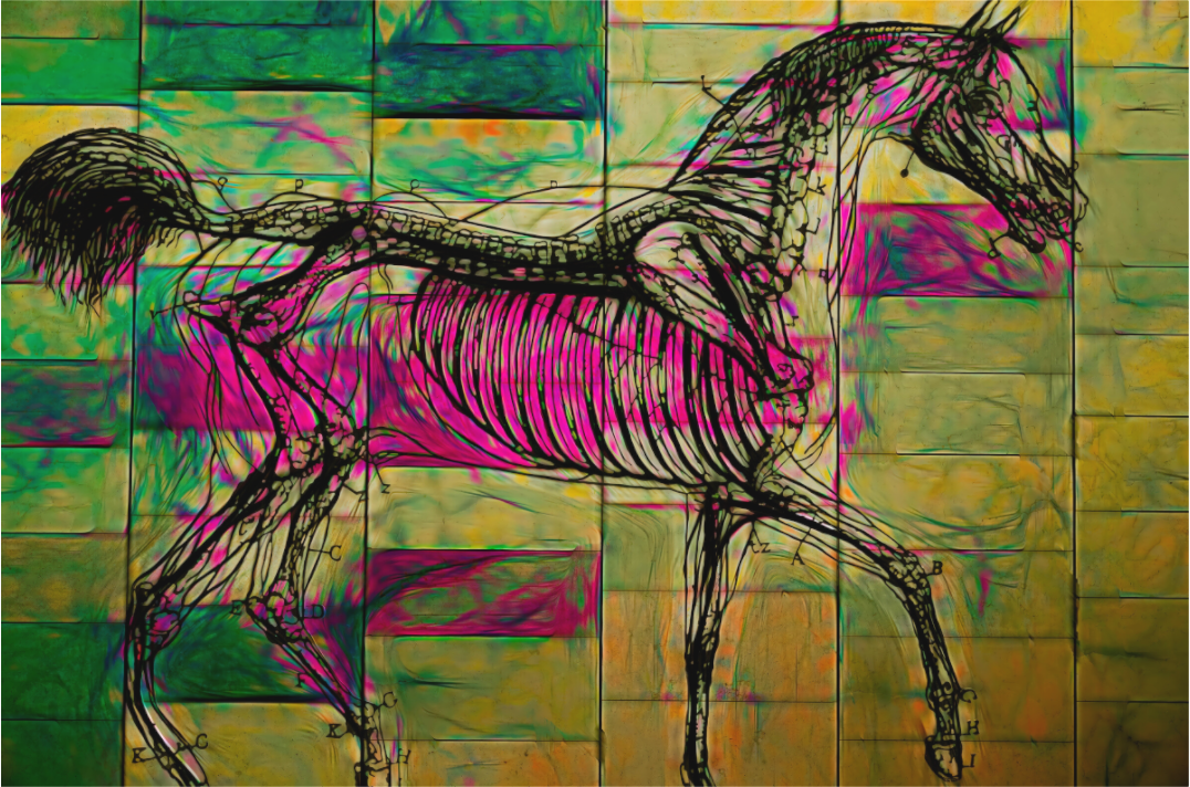 Panoramic Poetry Horse