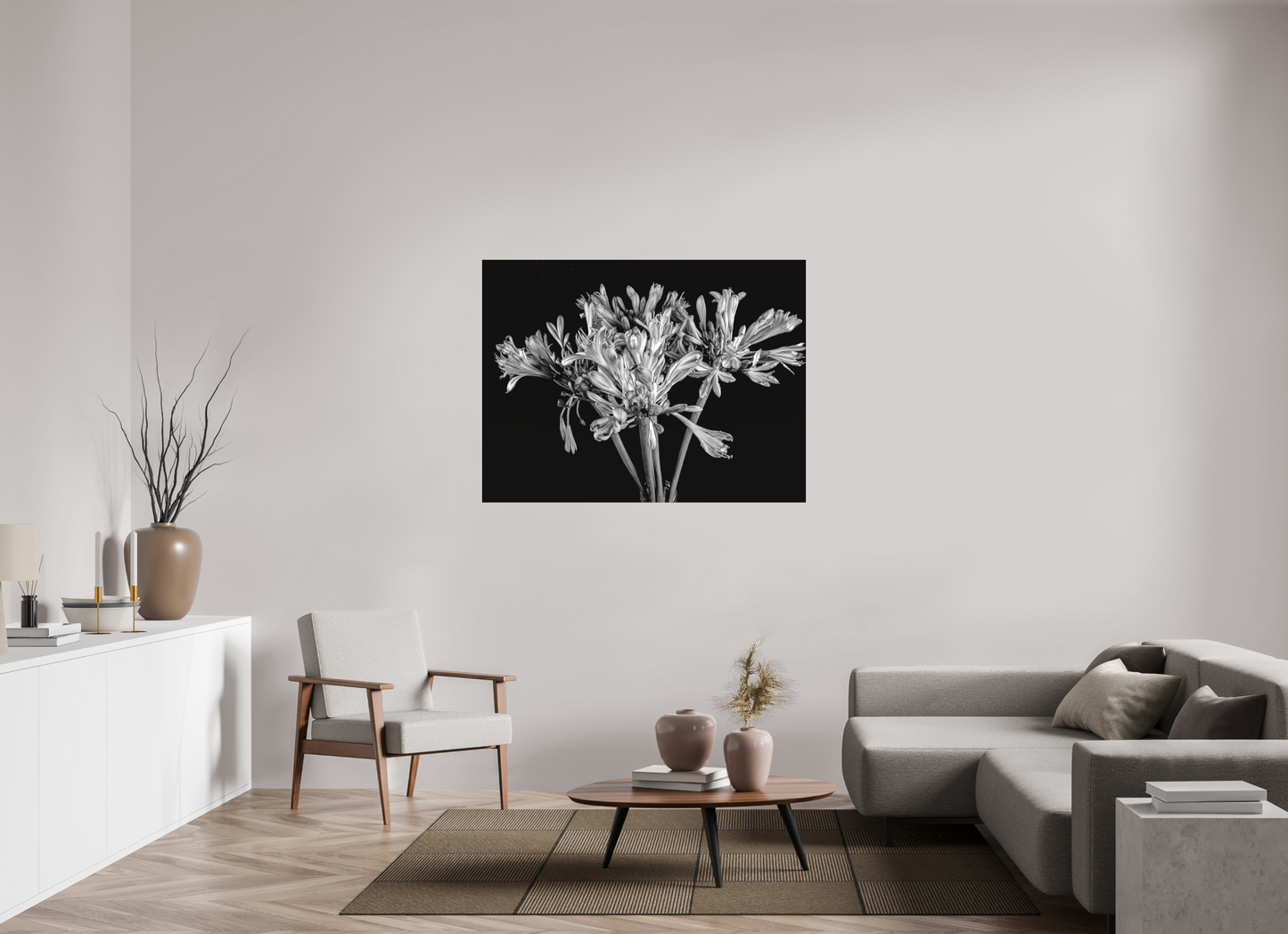 Agapanthus in Black and White