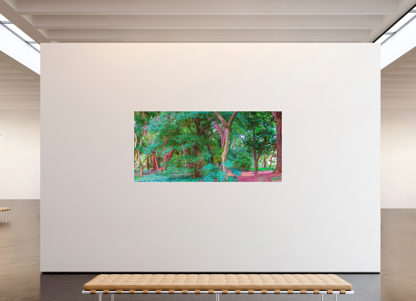 Panoramic Paradise in the City