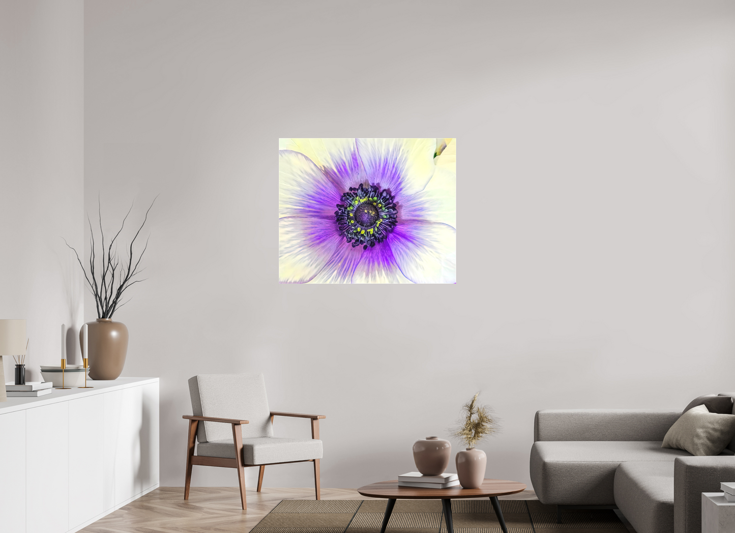 Anemone Splendor