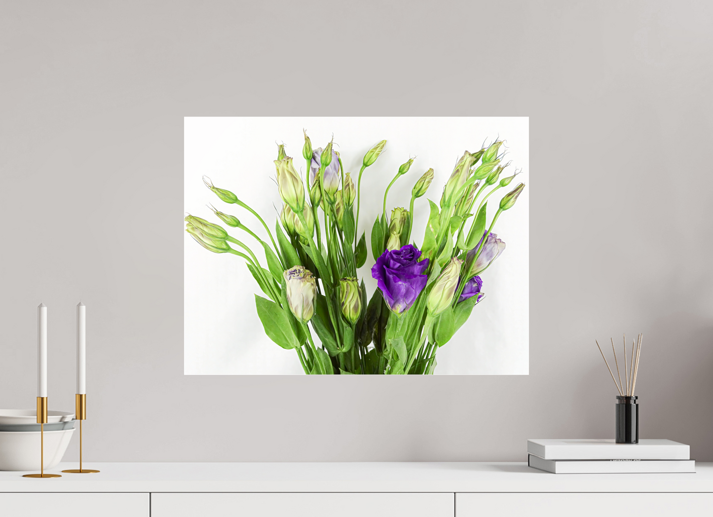 Purple Beauties (White Background)