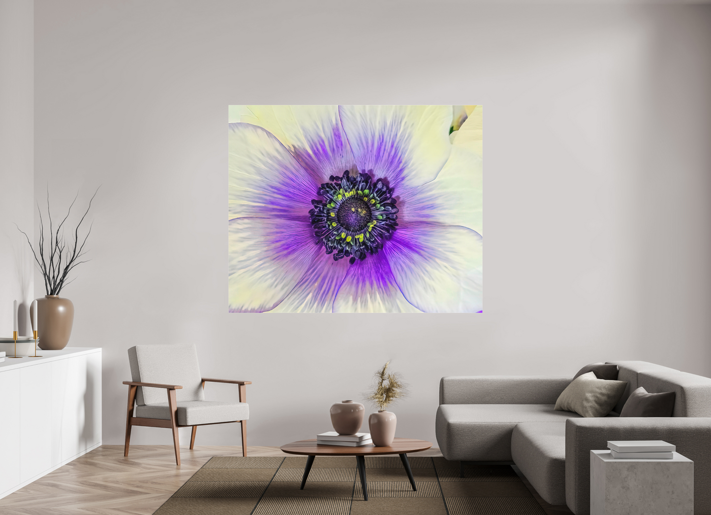 Anemone Splendor