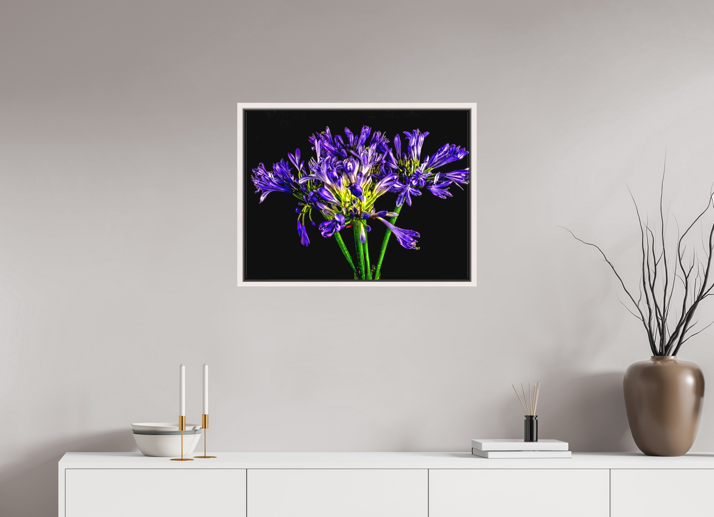 Agapanthus