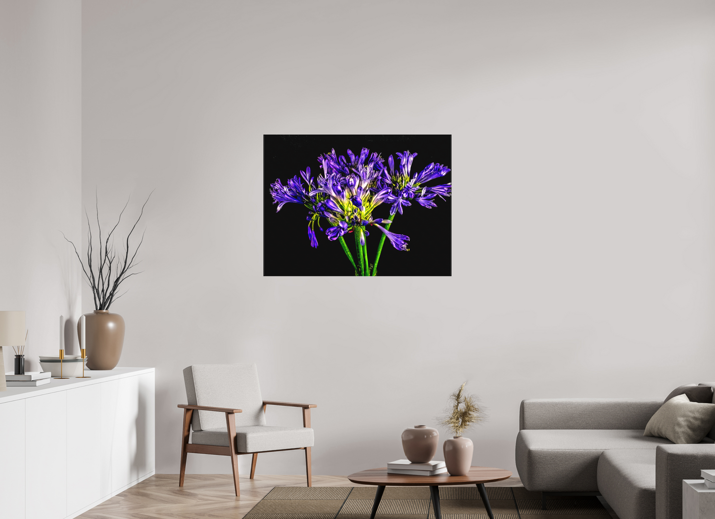 Agapanthus