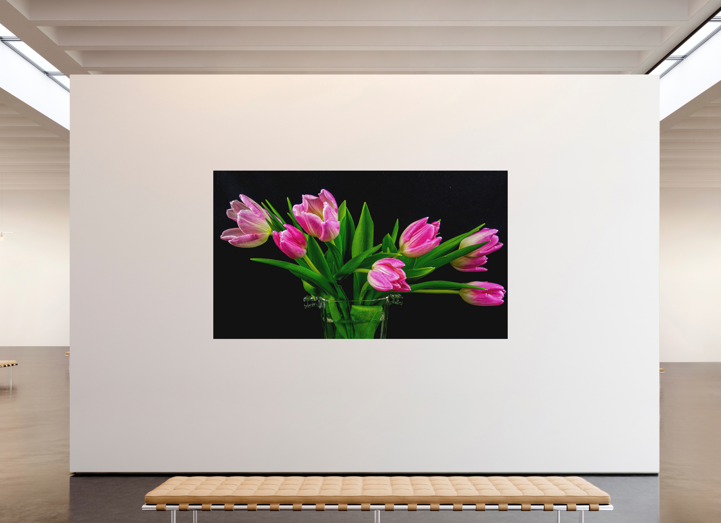 Tulip Dream