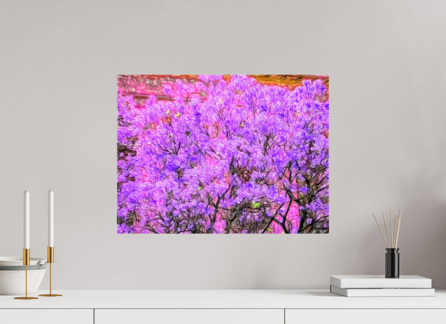 Jacaranda Obsession