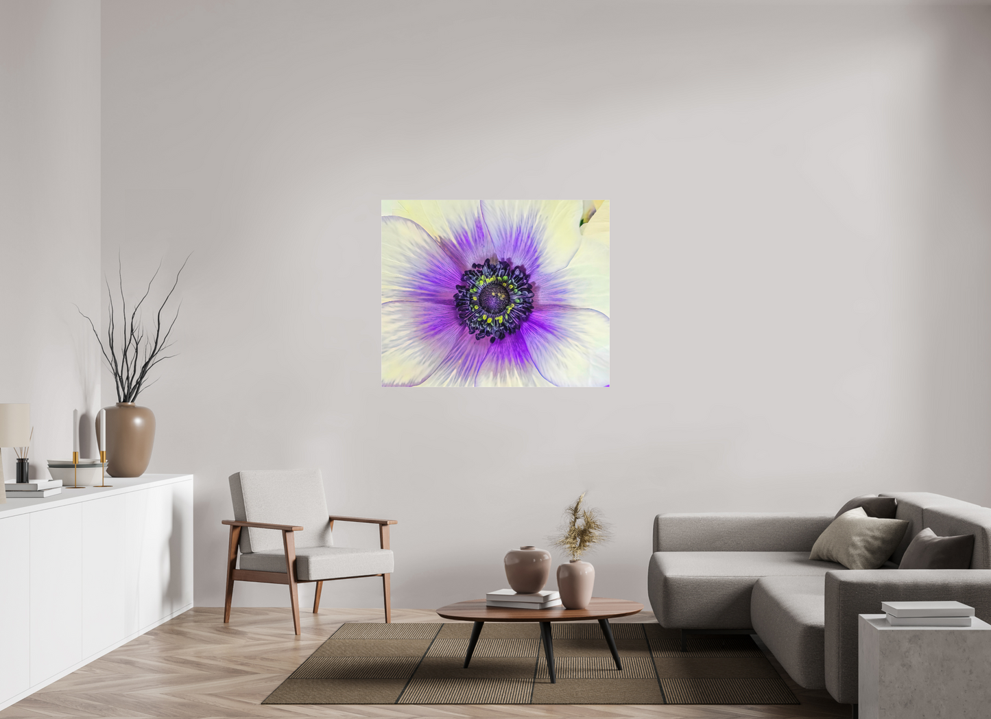 Anemone Splendor