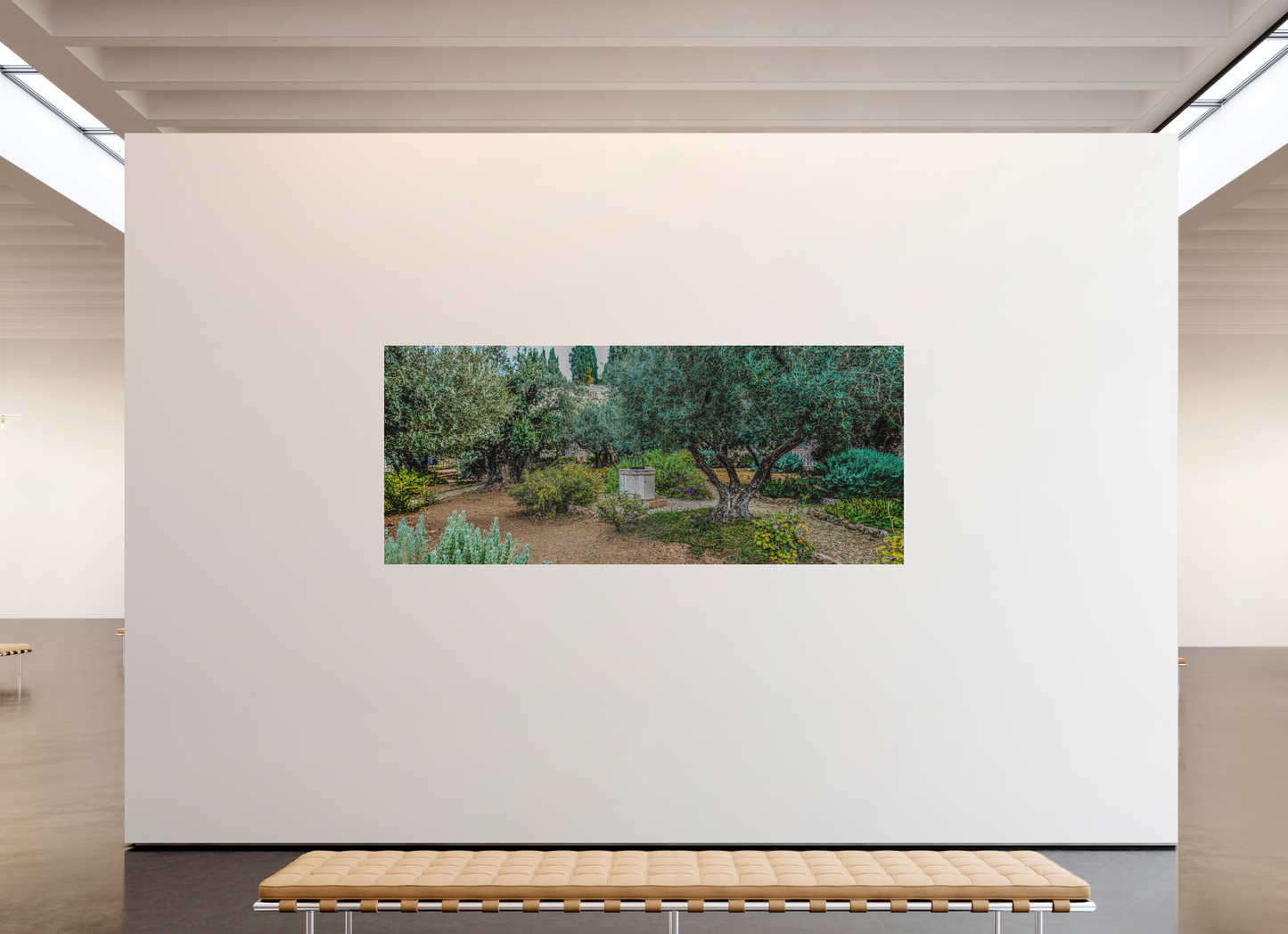 Panoramic Gethsemani Garden