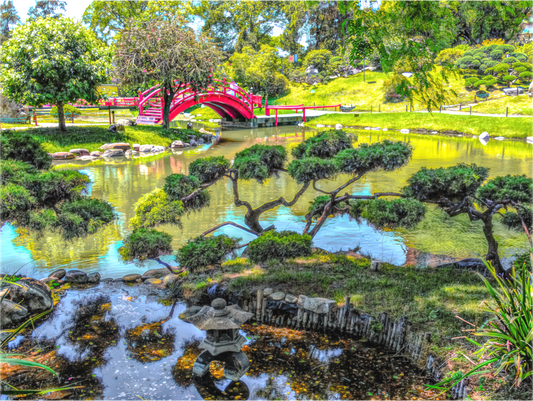 Japanese Garden