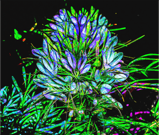 Brilliant Flower