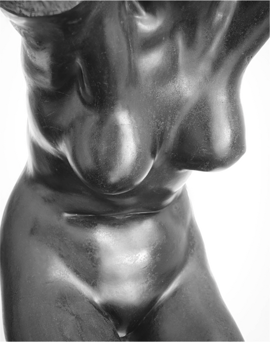 Frontal Woman's Torso