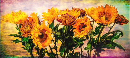 Panoramic Sunflowers Symphony