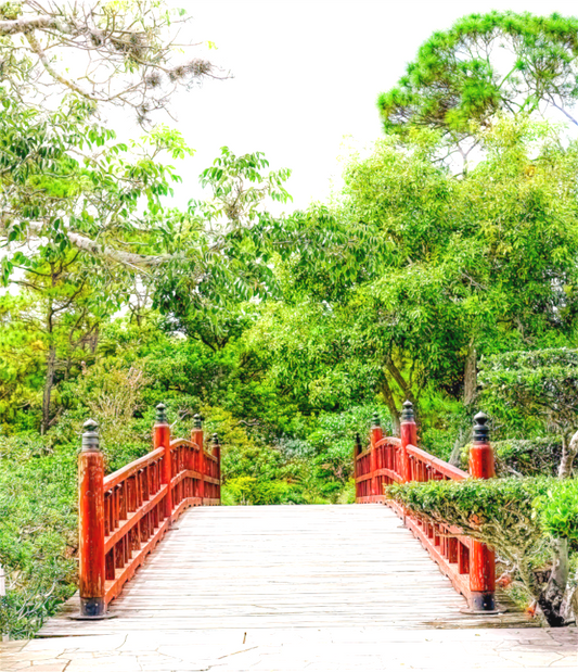 Japanese Garden Bridge