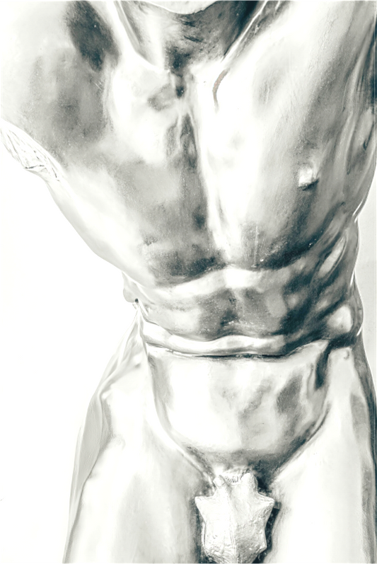 Man's Torso