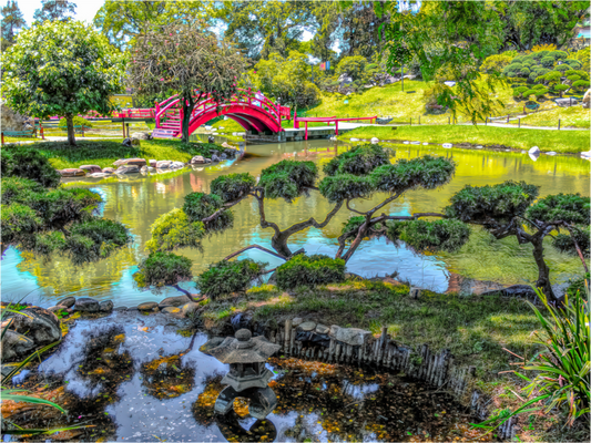 Japanese Garden