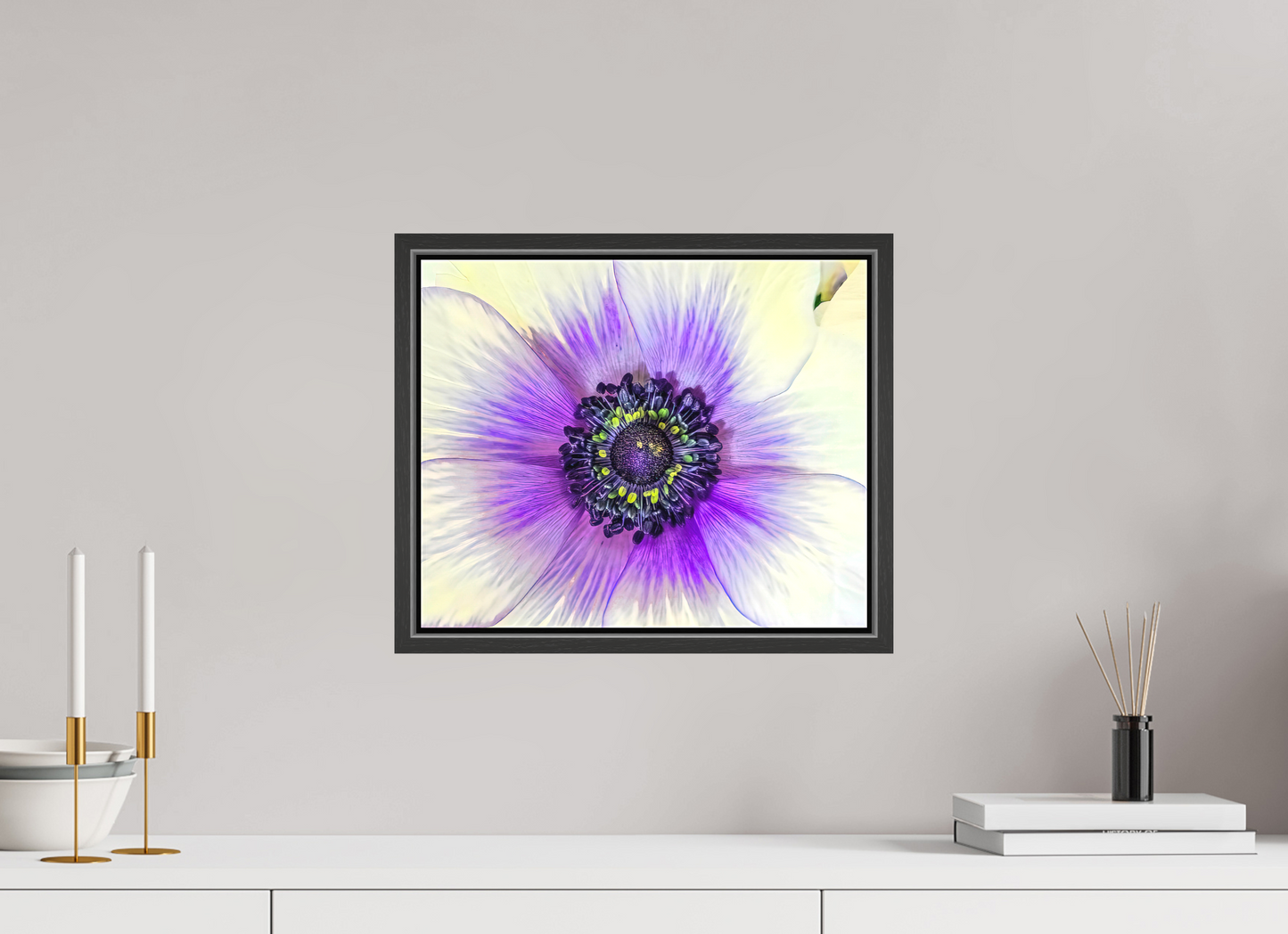 Anemone Splendor