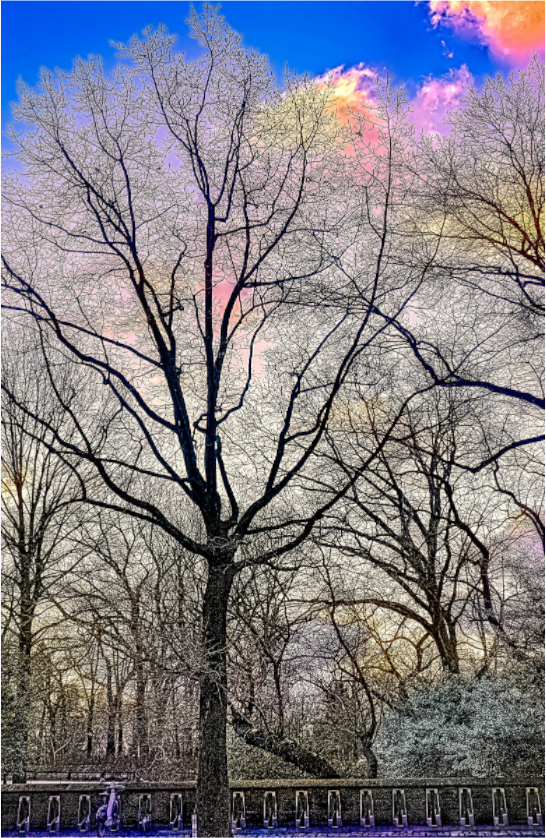 First Light