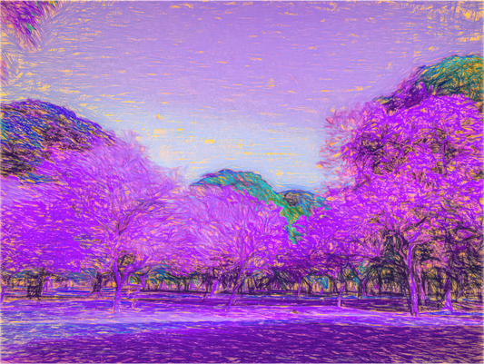 Jacaranda Garden