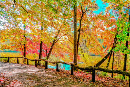 Welcoming Park