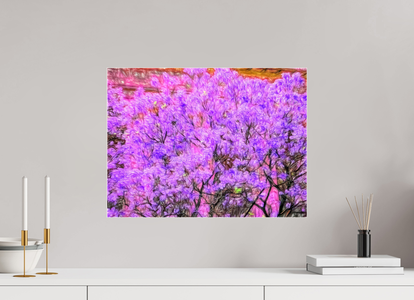 Jacaranda Obsession