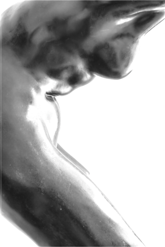 Side Woman's Torso