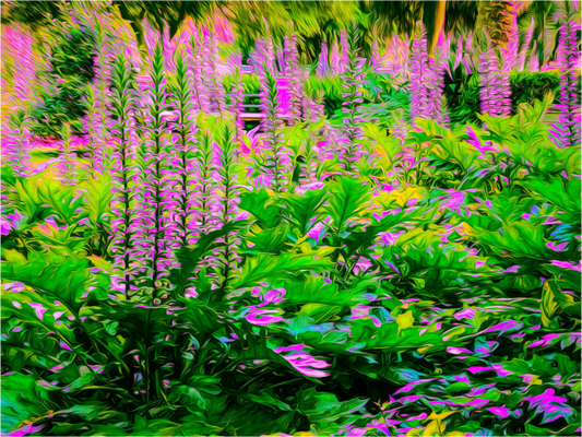 Secret Garden