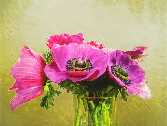 Anemone Love
