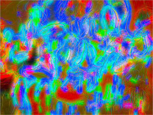 Imagination