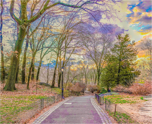 Peaceful Central Park