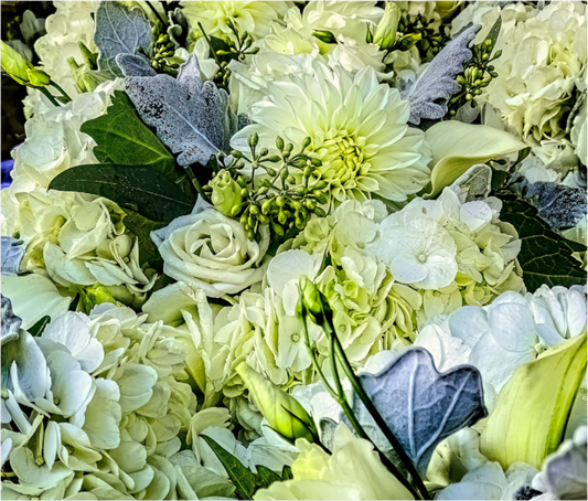 White Flowers