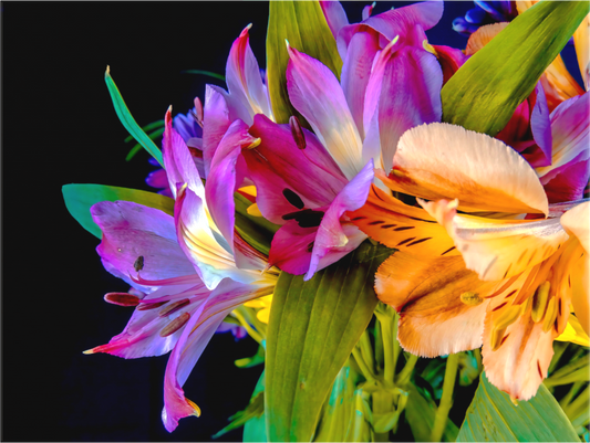 Flowers for You