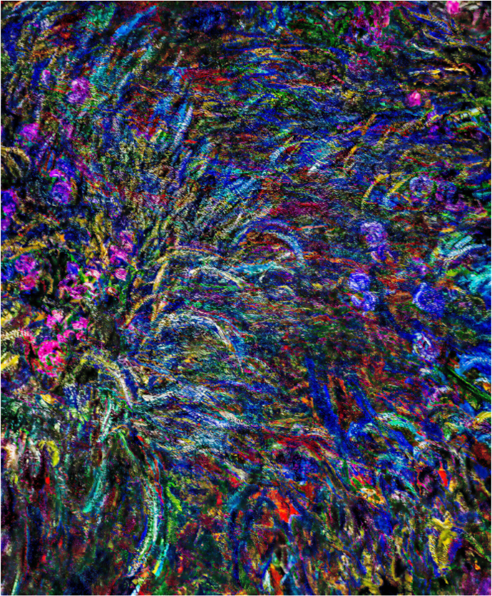 Floral Fireworks