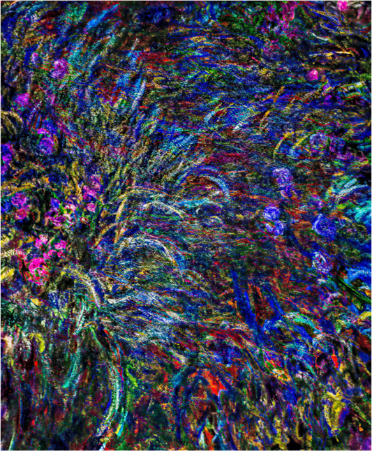 Floral Fireworks