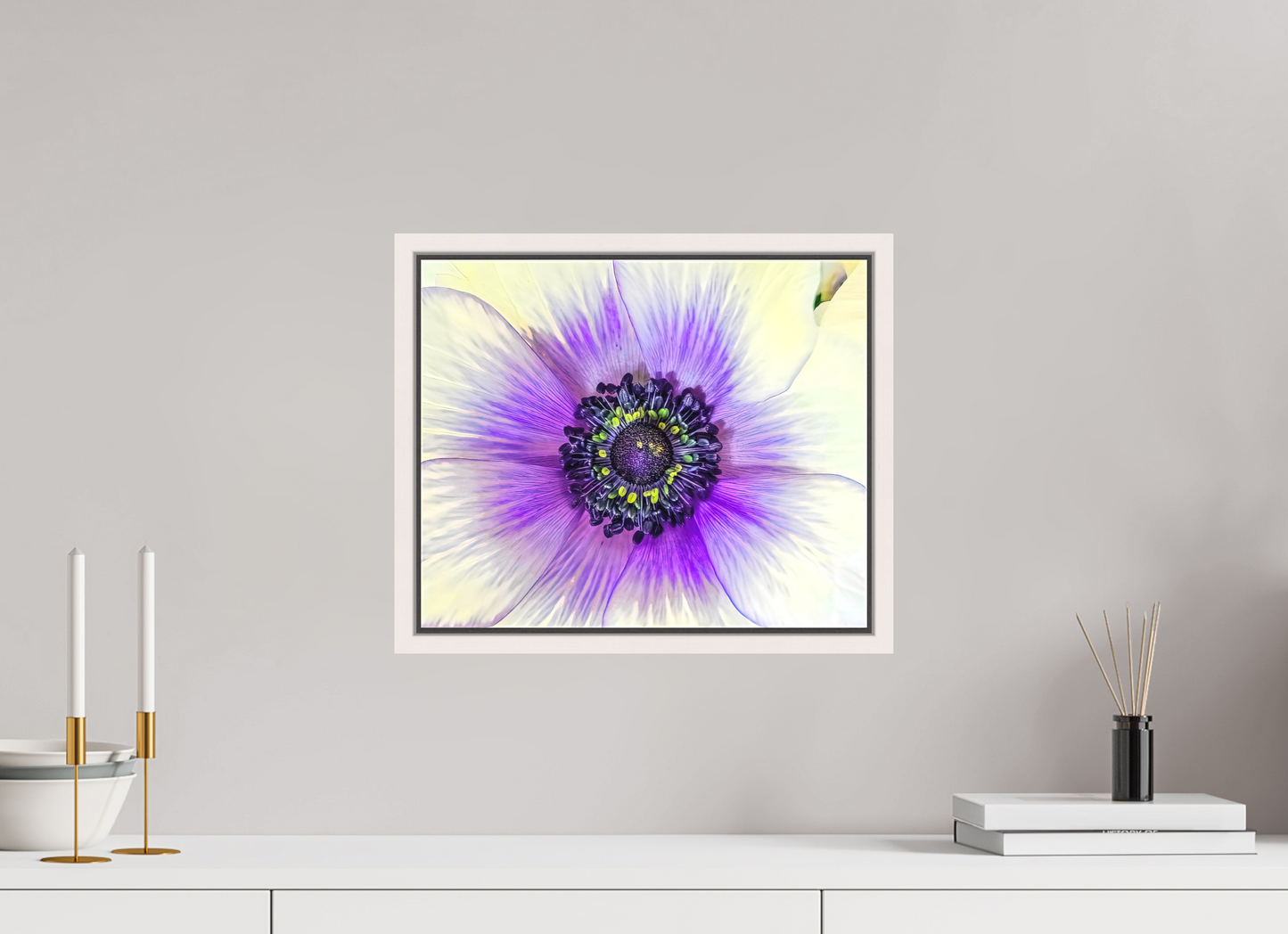 Anemone Splendor
