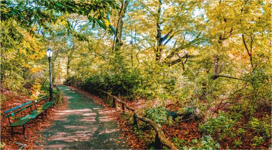 Panoramic Lover's Lane