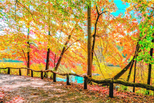 Welcoming Park