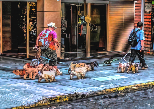 Dog Walker
